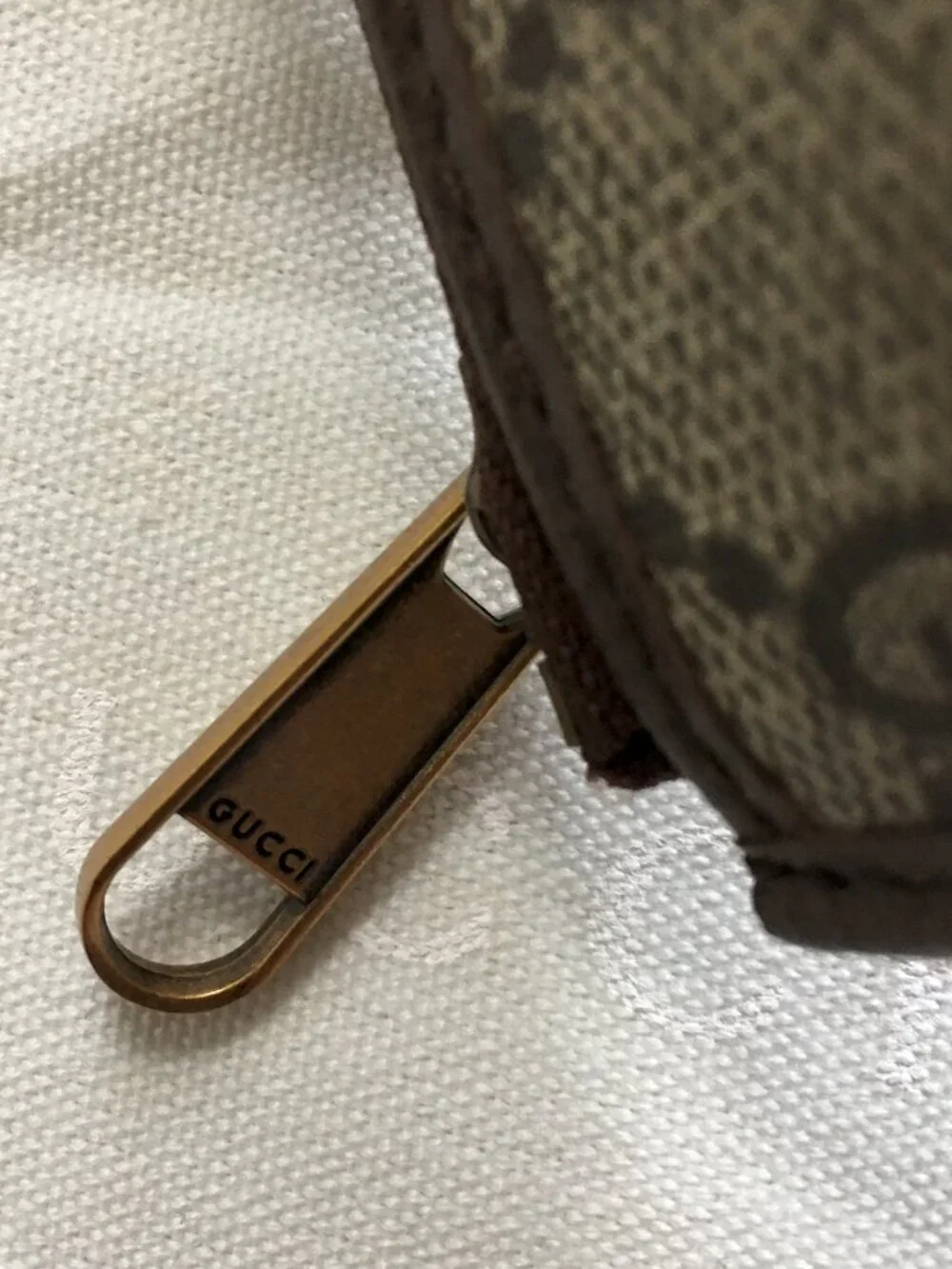 GG Supreme Monogram Web Ophidia Coin Case Brown